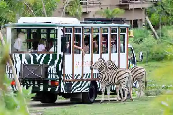 jungle hopper package jungle hopper package